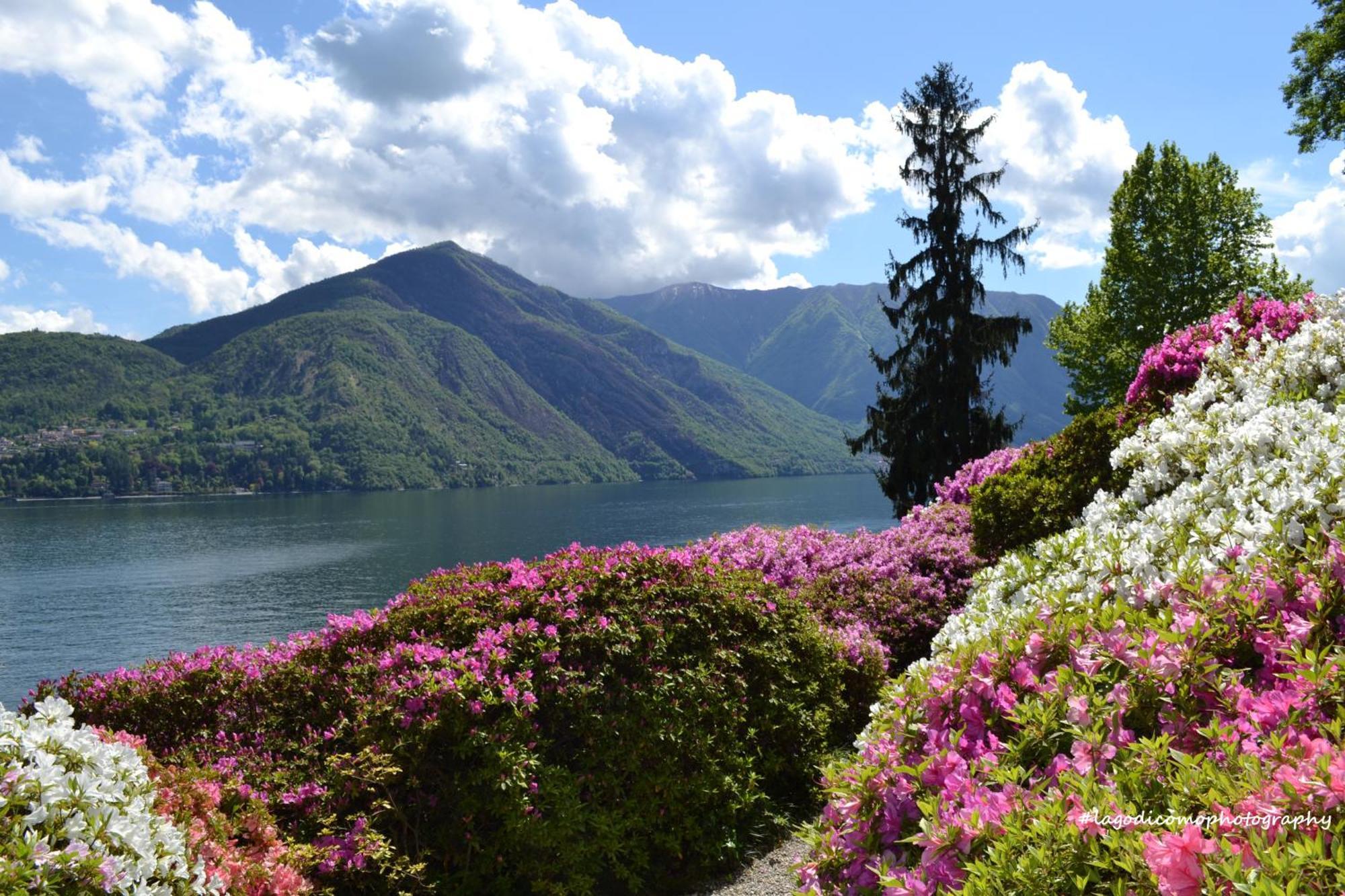 Appartamento Country House Menaggio Bagian luar foto